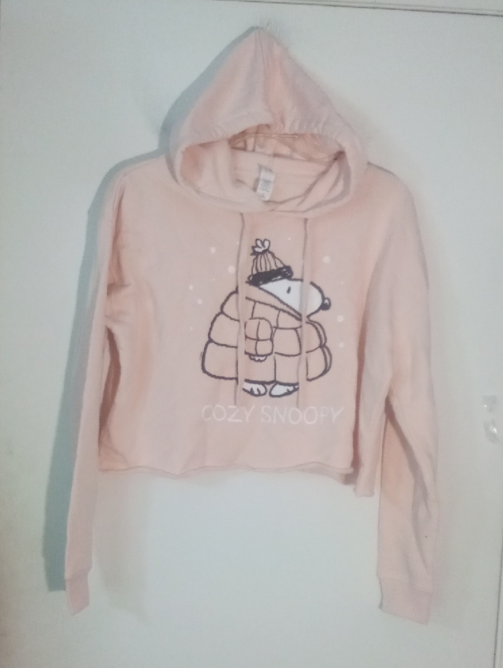 Cozy Snoopy Pink Cropped Hoodie by Lane Seven Small Fleece Lined